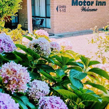Muswellbrook Motor Inn Exterior foto