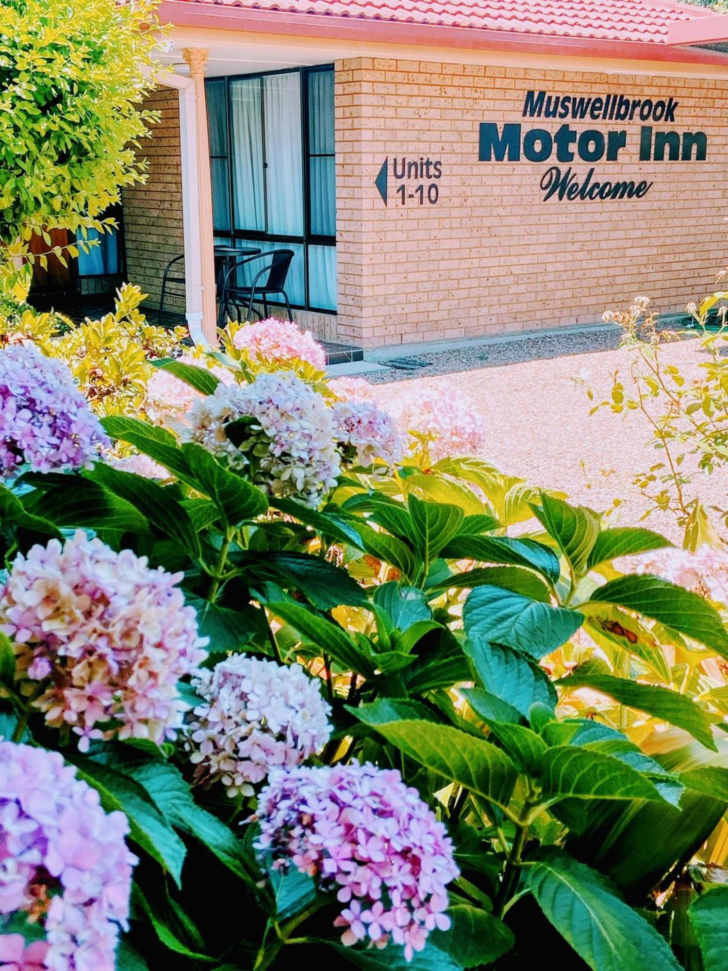 Muswellbrook Motor Inn Exterior foto